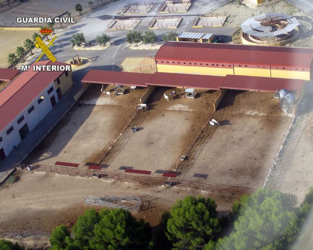 La Guardia Civil inmoviliza una escuela de arte ecuestre - 1, Foto 1