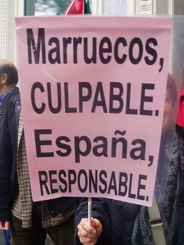 Un grupo de totaneros particip en la manifestacin a favor de Shara - 16