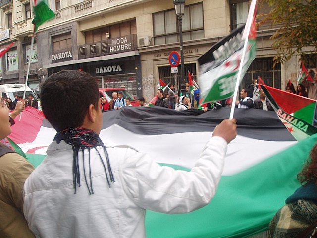 Un grupo de totaneros particip en la manifestacin a favor de Shara - 54