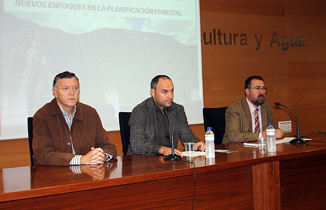 El aprovechamiento energético de la biomasa forestal reducirá el riesgo de incendios y fomentará el empleo - 2, Foto 2