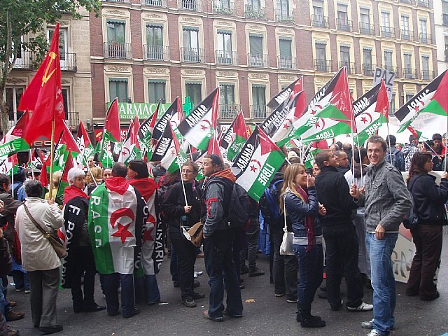 Un grupo de totaneros participó en la manifestación a favor de Sáhara, Foto 1