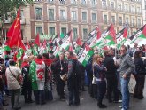 Un grupo de totaneros participó en la manifestación a favor de Sáhara