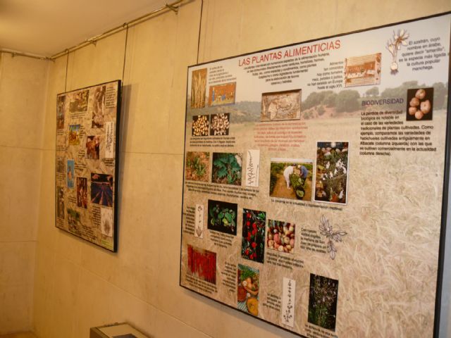 Este viernes 26 de noviembre, el licenciado en botánica José Fajardo hablará sobre ´la utilidad de las plantas´ - 1, Foto 1