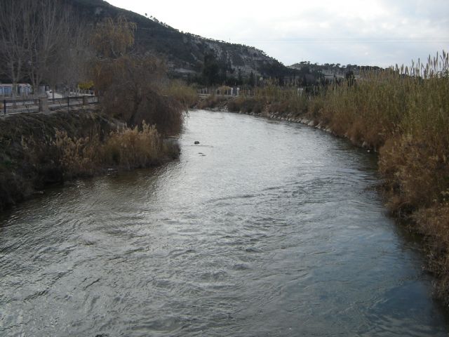 Ecologistas en Acción demanda el estudio de alternativas al entubamiento y reclama una moratoria - 1, Foto 1
