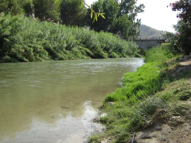 Ecologistas en Acción demanda el estudio de alternativas al entubamiento y reclama una moratoria - 2, Foto 2