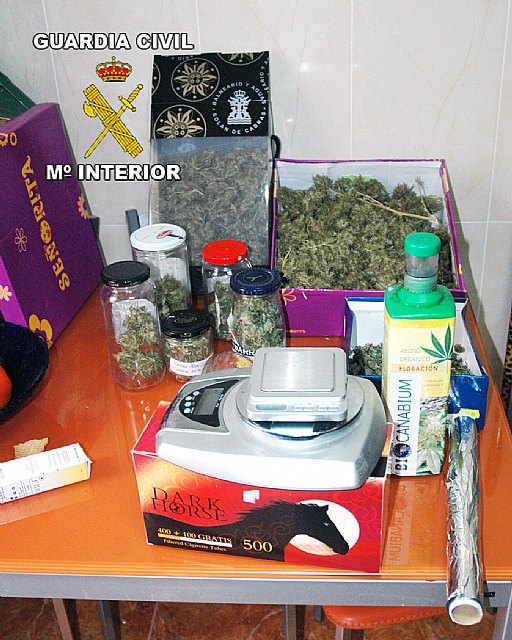 La Guardia Civil desmantela un punto de distribución de marihuana en Calasparra. - 2, Foto 2