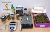La Guardia Civil desmantela un punto de distribución de marihuana en Calasparra.
