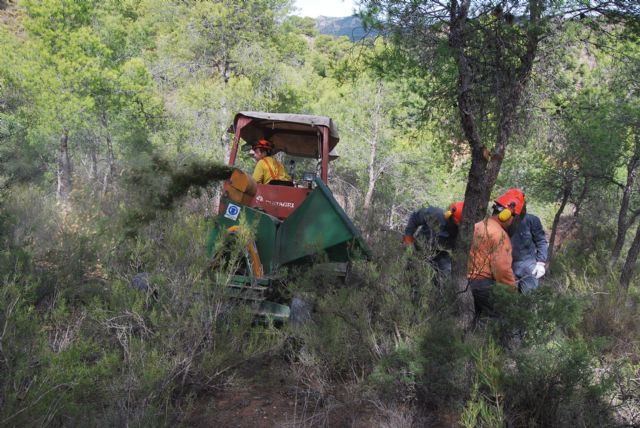 Inicio de las labores del proyecto medioambiental, valorado en más de 200.000 euros, Foto 1