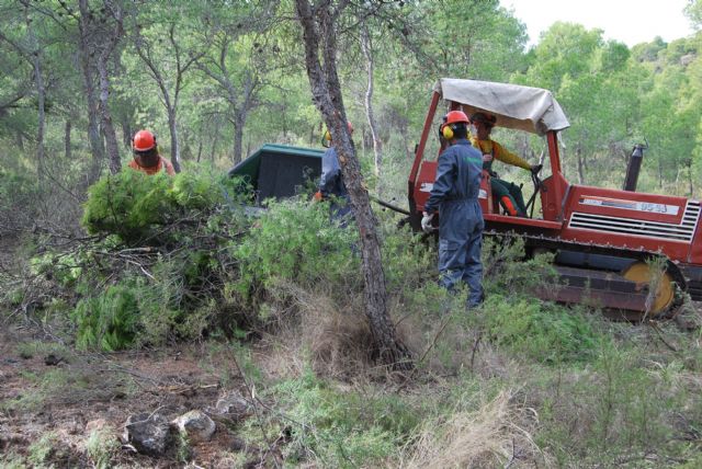 Inicio de las labores del proyecto medioambiental, valorado en más de 200.000 euros, Foto 2