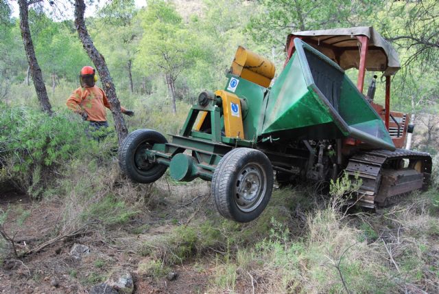 Inicio de las labores del proyecto medioambiental, valorado en más de 200.000 euros, Foto 3