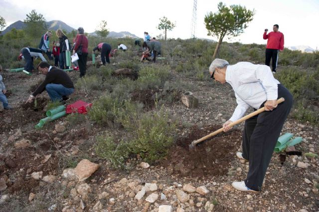 200 personas participaron en el Día de Reforestación en La Vaguada - 1, Foto 1