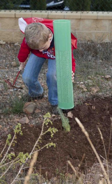 200 personas participaron en el Día de Reforestación en La Vaguada - 2, Foto 2