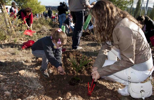 200 personas participaron en el Día de Reforestación en La Vaguada - 3, Foto 3