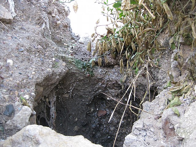 El PSOE pide una actuación urgente en los tramos de la muralla que corren peligro de desaparecer - 1, Foto 1