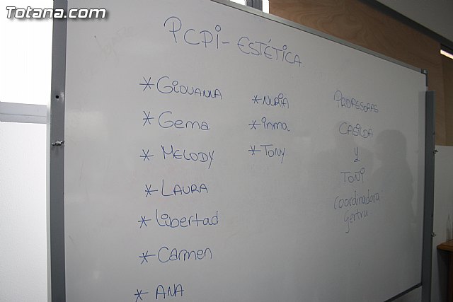 Programa de cualificacin profesional inicial en 