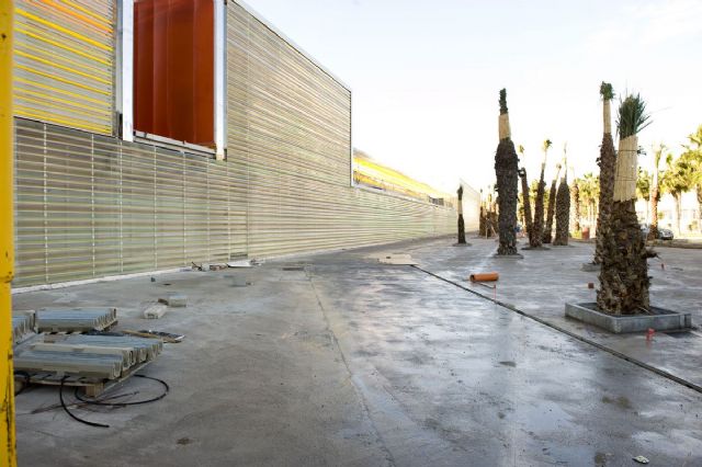 Madera de abeto para el entorno del Auditorio - 4, Foto 4