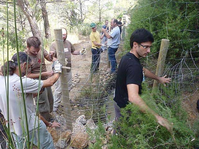 La Comunidad restaura charcas en la zona norte de Sierra Espuña para favorecer la expansión del sapo partero bético - 2, Foto 2