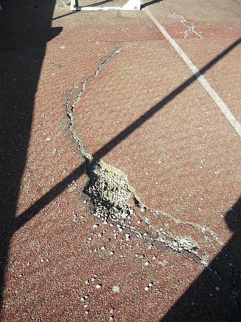 Piden la reparación inmediata de la pista deportiva del IES Ramón Arcas - 4, Foto 4