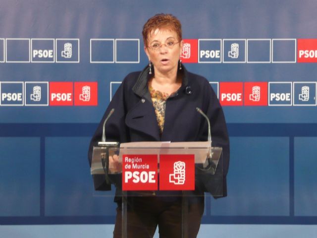 El PSOE pide un debate monográfico sobre Educación en la Asamblea Regional - 1, Foto 1