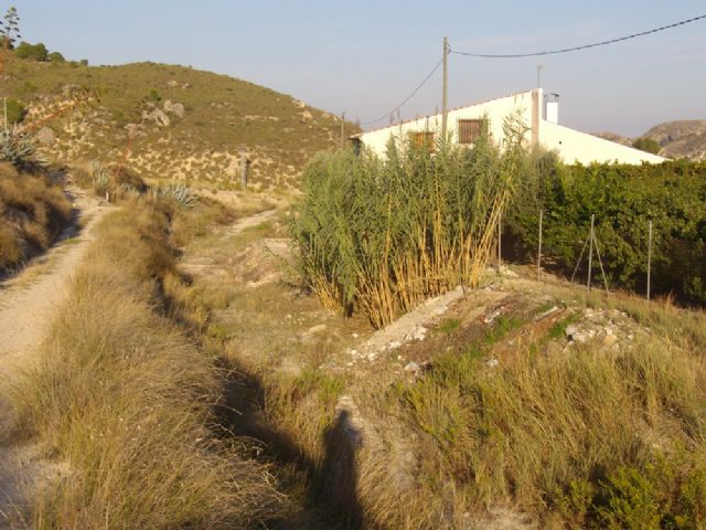 Presentan firmas para pedir el rescate para la Va Verde del antiguo tramo ferroviario de la Ribera de Los Molinos de Mula - 6