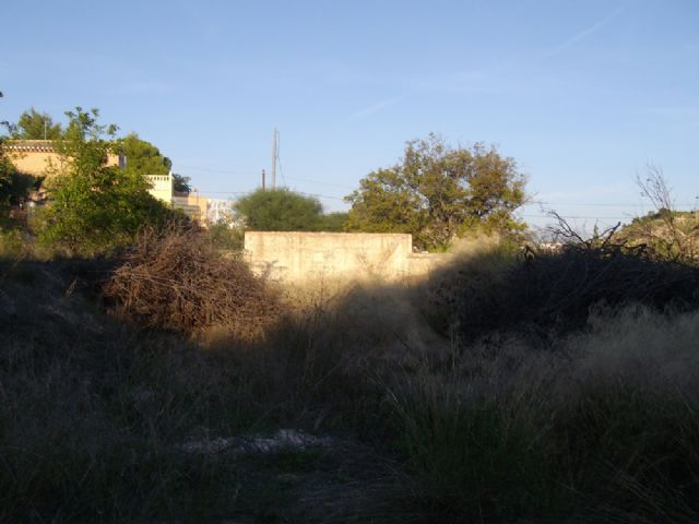 Presentan firmas para pedir el rescate para la Va Verde del antiguo tramo ferroviario de la Ribera de Los Molinos de Mula - 7