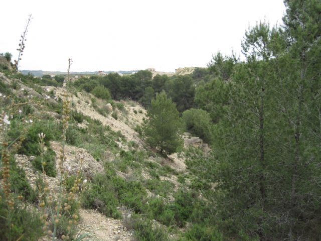 Comienza en Las Torres de Cotillas el acondicionamiento de la Rambla Salada como itinerario ecoturístico - 1, Foto 1