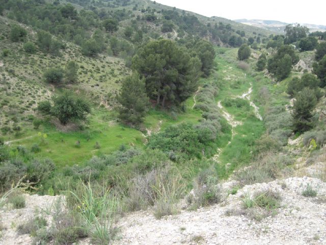 Comienza en Las Torres de Cotillas el acondicionamiento de la Rambla Salada como itinerario ecoturístico - 2, Foto 2