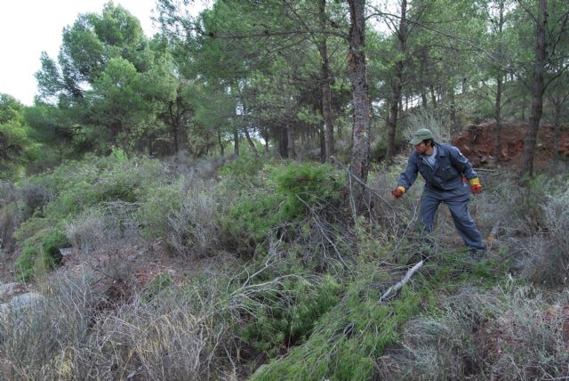 Un proyecto medioambiental prevendrá incendios forestales y aumentará la diversidad de la flora y la fauna en el paraje del santuario de La Santa, Foto 1