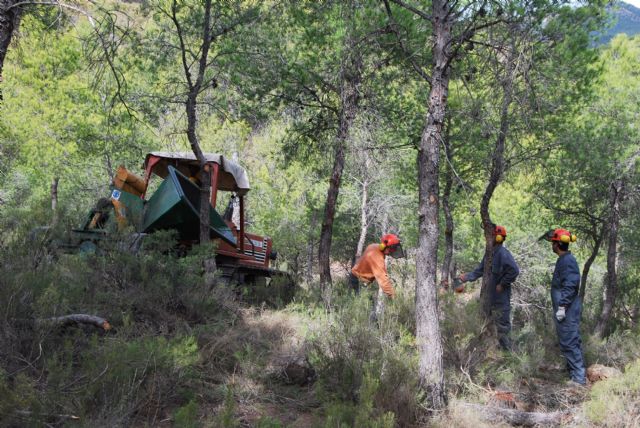 Un proyecto medioambiental prevendrá incendios forestales y aumentará la diversidad de la flora y la fauna en el paraje del santuario de La Santa, Foto 3