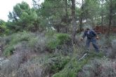 Un proyecto medioambiental prevendrá incendios forestales y aumentará la diversidad de la flora y la fauna en el paraje del santuario de La Santa