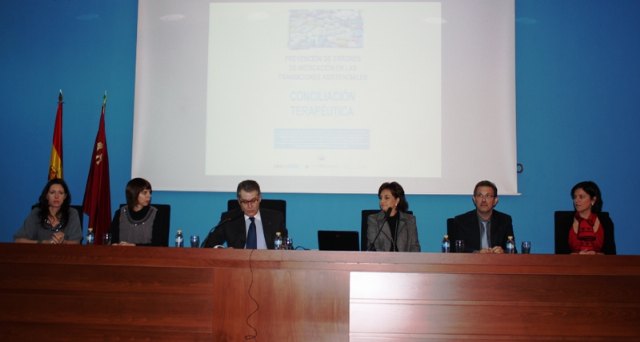 El director general de Atención al Ciudadano, Drogodependencias y Consumo inaugura la jornada 'Conciliación Terapéutica' - 2, Foto 2