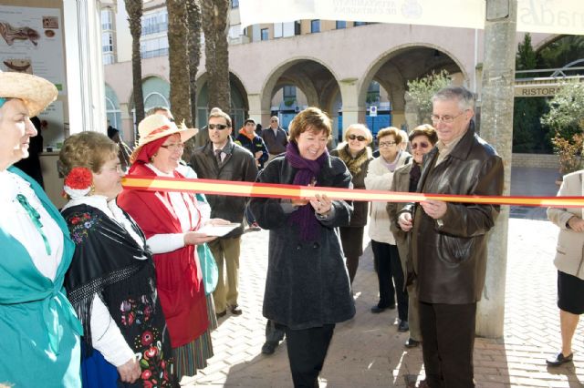 La alcaldesa inaugura la IV Feria de Mayores y Discapacitados - 1, Foto 1