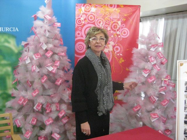 Bienestar Social organiza una 'Escuela de Navidad' para que los murcianos puedan conciliar su vida laboral y familiar - 1, Foto 1