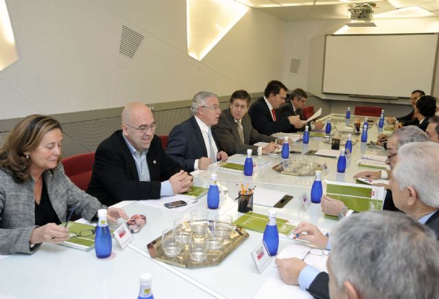 El Consejo Social aprueba los presupuestos de 2011 por 211,1 millones de euros - 1, Foto 1