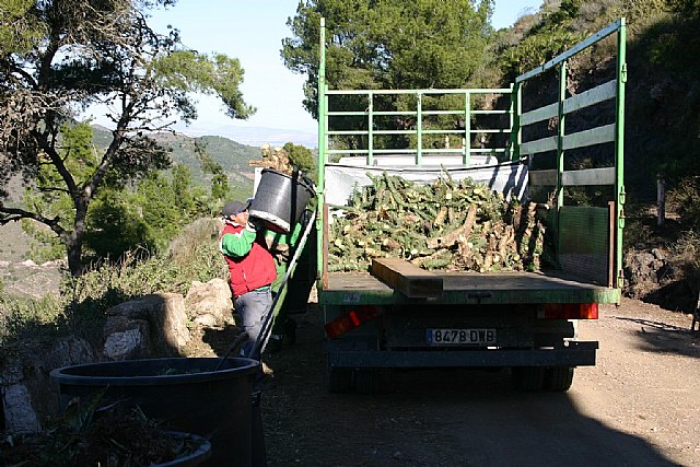 La Comunidad elimina especies invasoras en el Parque Regional de Calblanque - 1, Foto 1