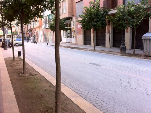 La calle Nogalte y la calle Selgas parecen tercermundistas, según CiudaLor - 3, Foto 3