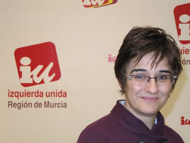 IU denuncia que el PP evita el debate público sobre el presupuesto de 2011 - 1, Foto 1