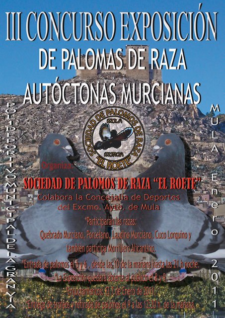 III Concurso Exposicion de Palomas de Razas Autóctonas Murcianas - 2, Foto 2