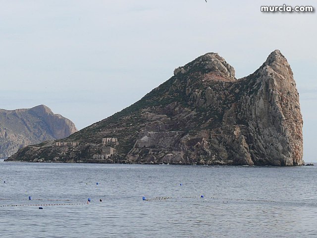 Sin novedad sobre la desaparicion del buceador desaparecido el lunes dia 3 de enero en guilas - 4
