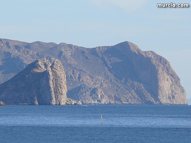 Sin novedad sobre la desaparicion del buceador desaparecido el lunes dia 3 de enero en guilas - 5