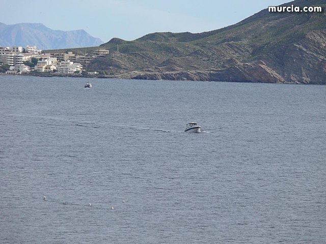 Sin novedad sobre la desaparicion del buceador desaparecido el lunes dia 3 de enero en guilas - 20