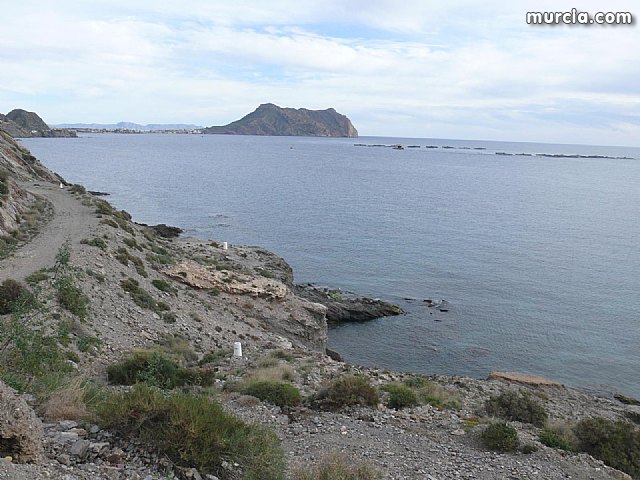 Sin novedad sobre la desaparicion del buceador desaparecido el lunes dia 3 de enero en guilas - 26