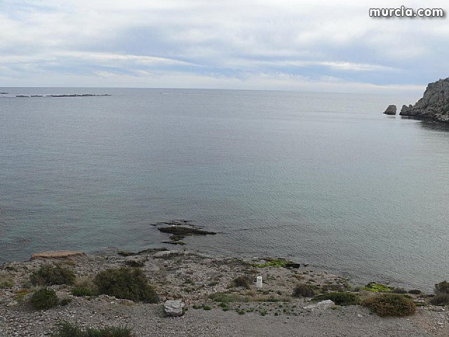 Sin novedad sobre la desaparicion del buceador desaparecido el lunes dia 3 de enero en guilas - 27