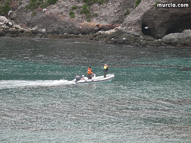 Sin novedad sobre la desaparicion del buceador desaparecido el lunes dia 3 de enero en guilas - 30
