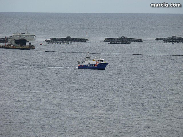Sin novedad sobre la desaparicion del buceador desaparecido el lunes dia 3 de enero en guilas - 32