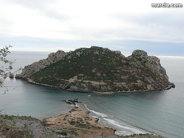 Sin novedad sobre la desaparicion del buceador desaparecido el lunes dia 3 de enero en guilas - 36