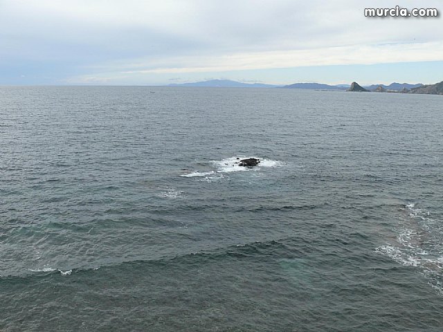 Sin novedad sobre la desaparicion del buceador desaparecido el lunes dia 3 de enero en guilas - 38
