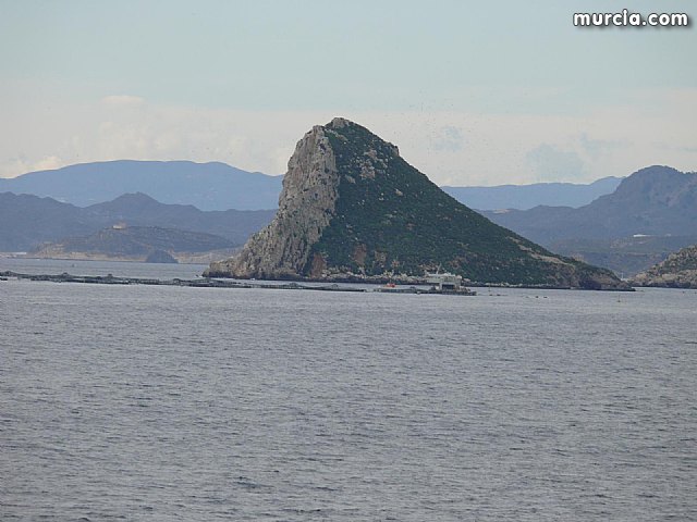 Sin novedad sobre la desaparicion del buceador desaparecido el lunes dia 3 de enero en guilas - 41