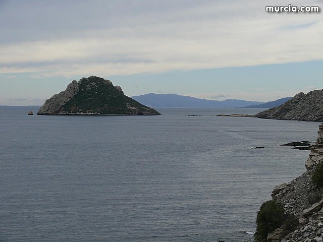 Sin novedad sobre la desaparicion del buceador desaparecido el lunes dia 3 de enero en guilas - 44