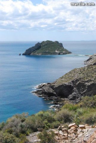 Sin novedad sobre la desaparicion del buceador desaparecido el lunes dia 3 de enero en guilas - 49